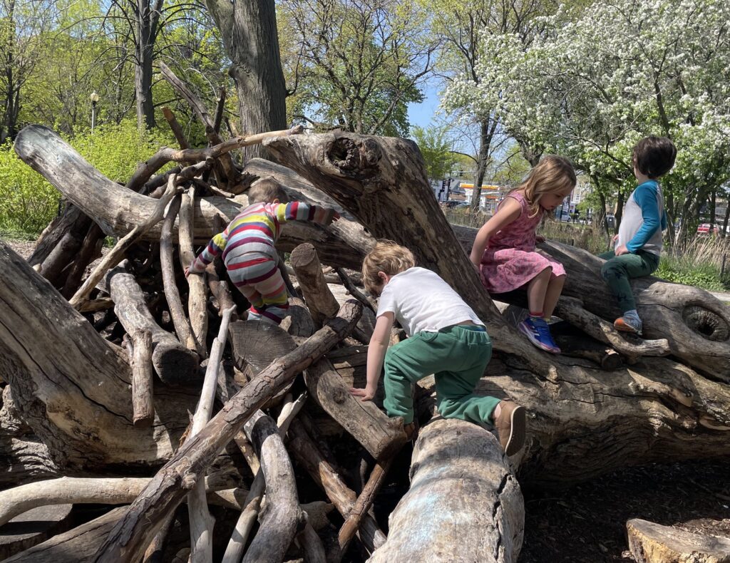 Children play on dead logs in a nature play space.